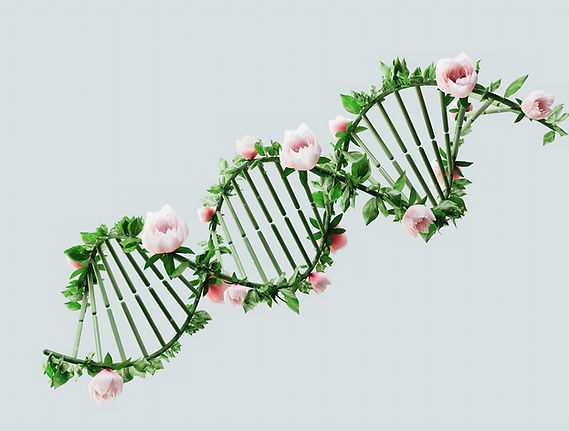 Floral DNA Representation