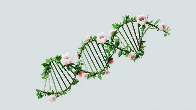 Floral DNA Structure