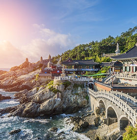Experience the energy of South Korea through dynamic cities, scenic mountain escapes, historic palaces, stylish neighborhoods, and destinations made famous by Korean dramas. It is an ideal choice for travelers who enjoy culture, food, shopping, and a lively modern atmosphere.