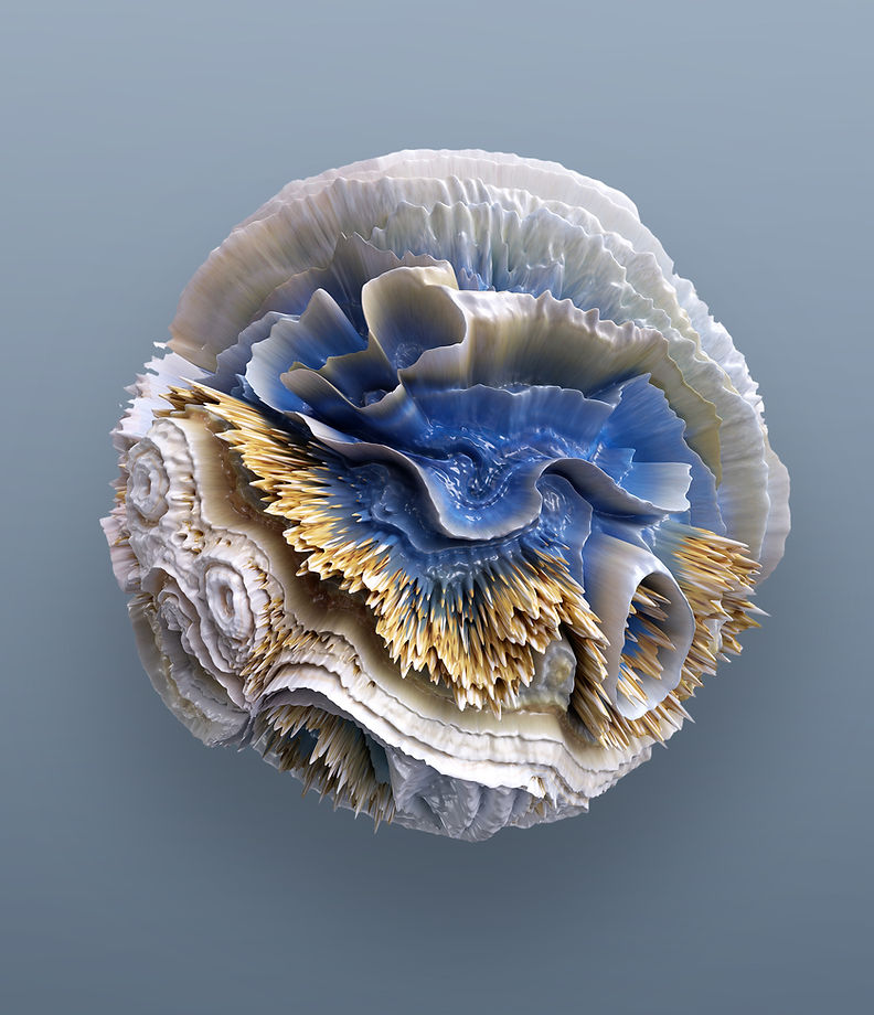 Beautiful Coral