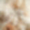 Soft Coral Arrangements on Fabric