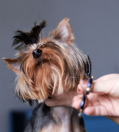 Trimming the Fur