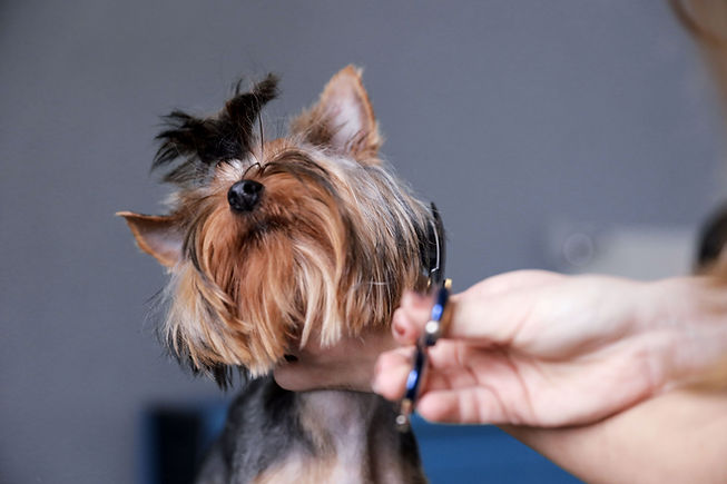 Trimming the Fur
