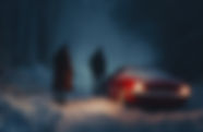 Snowy Night Encounter
