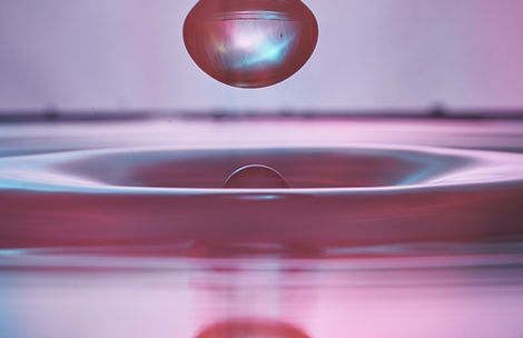 Conservation Science Statement 1. The demise of New Zealand's freshwater flora and fauna: a forgotten treasure