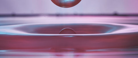 Reflets dorés sur le lac de Vouglans au lever du soleil, macro sur goutte d’eau sur feuillage.