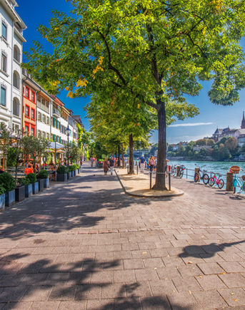 Grafik zur Darstellung des mobilen Klinikangebots von MWS Physio