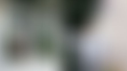 Esnaf Diliyle Bağ Kurma: Yerlilik ve Memleketçilikle Sıcak İlişkiler