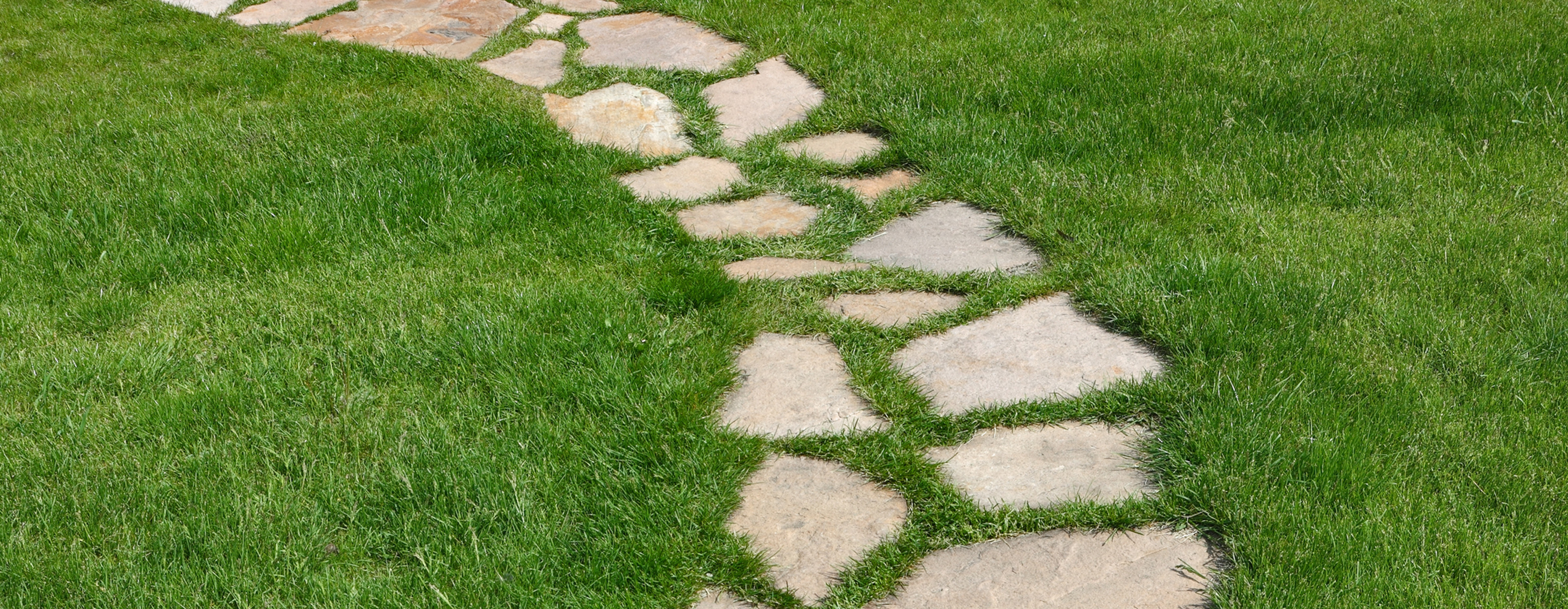 Steinplattenweg schlängelt sich durch dichtes grünes Gras im Garten, ohne Menschen oder Text.
