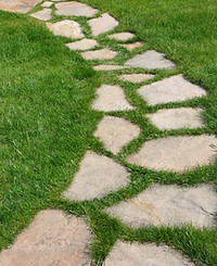 Chemin de pierre