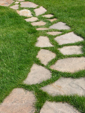 Orientação Profissional x Recolocação: Qual serviço é ideal para você agora?