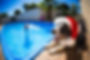 Dog with Santa Hat