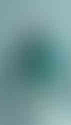 Tendance vert forêt