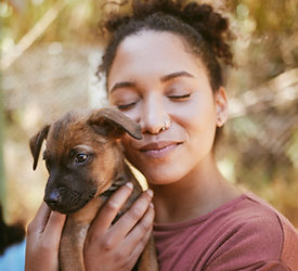Câliner un chiot