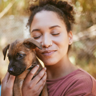 Puppy being held by a lady