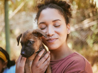 Puppy Adoption Event