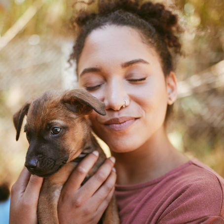 The Great Debate: Adopt or Shop? Adopting from a Shelter vs. Buying from a Breeder