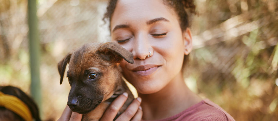 The Great Debate: Adopt or Shop? Adopting from a Shelter vs. Buying from a Breeder