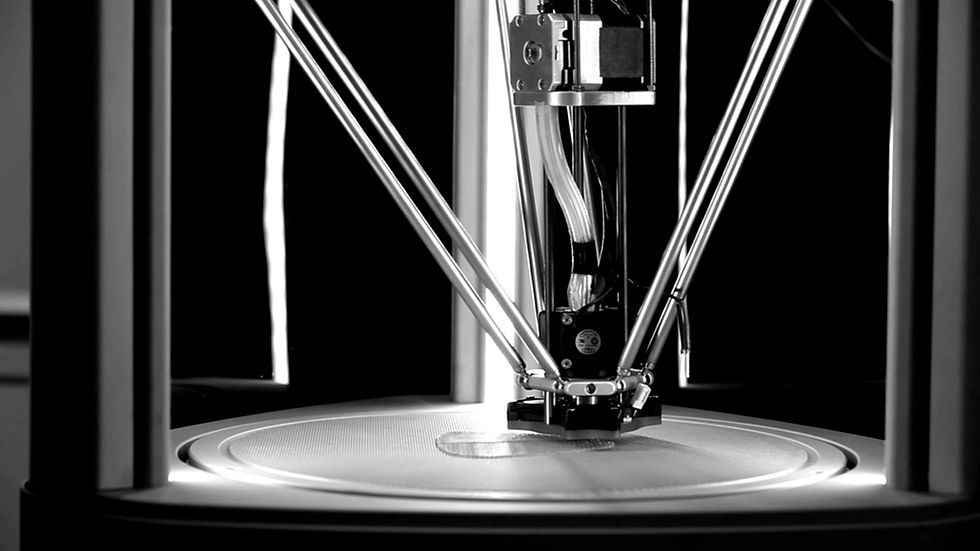 3D Printer in Action