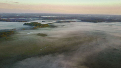 Misty Landscape View