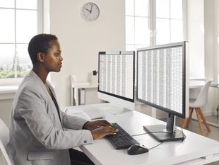 Excel Skills Vital to a Successful Workday® Implementation