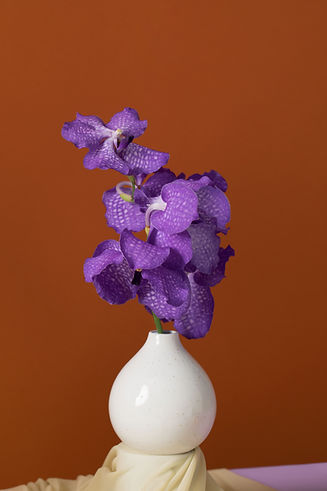 Purple Orchid
