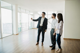 Real Estate Agent