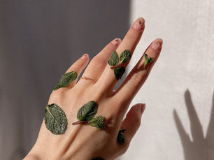 Series Thảo dược & Quản trị doanh nghiệp - P5: Bạc hà & Quản trị xung đột cảm xúc