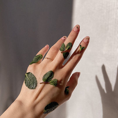 Hand with Mint Leaves