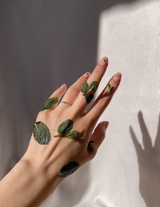 Hand with Mint Leaves