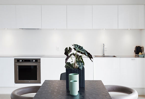 Minimalist Kitchen Design