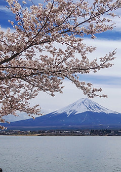 Mount Fuji in the Spring
