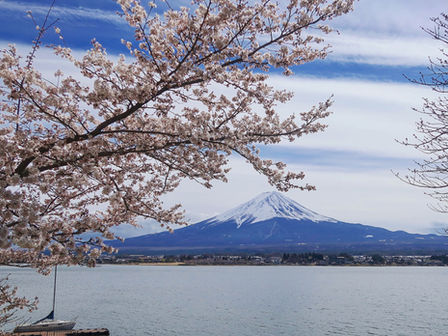 卒業・卒園おめでとうございます
