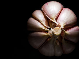 L’ail : Dans ses petites gousses se cache une force immense pour la santé