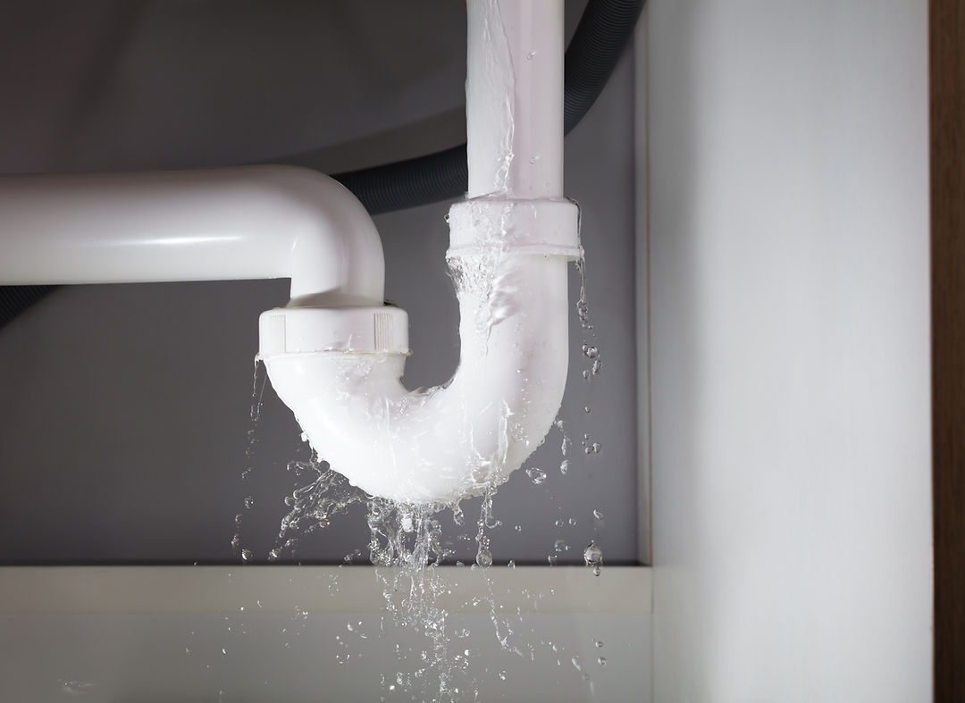 No Leaks Plumbing photo 1