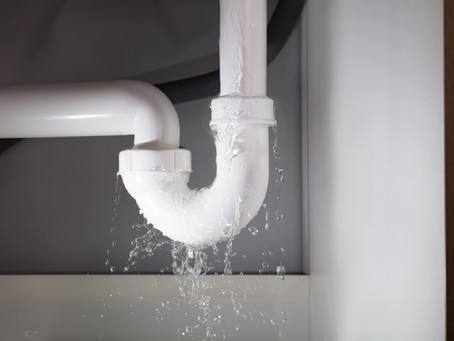 Irrigation Moratorium Lifted