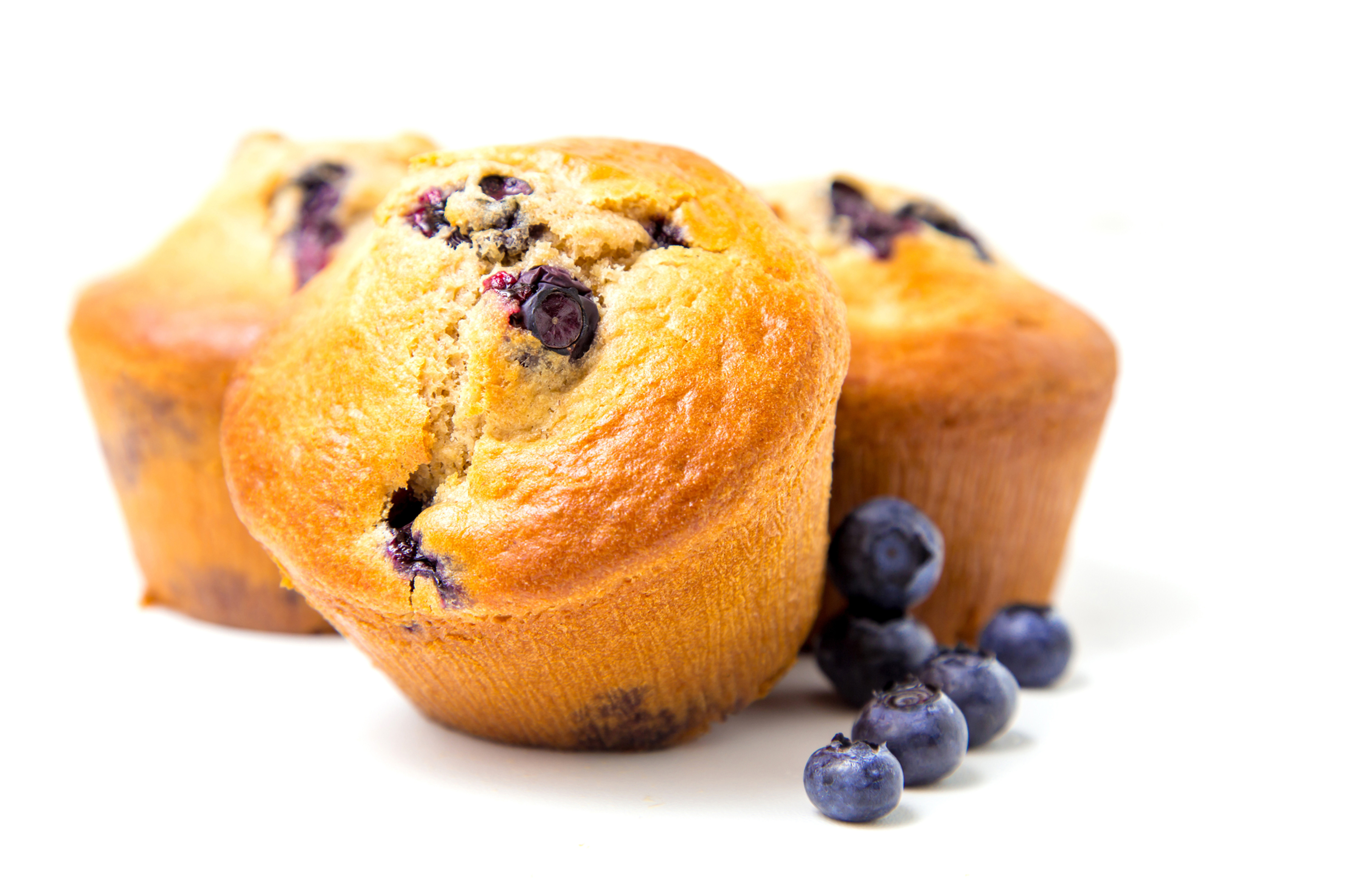 Blueberry Cupcakes