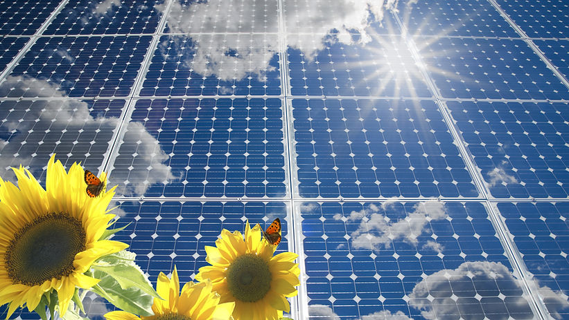 Solar panel with orange butterfly