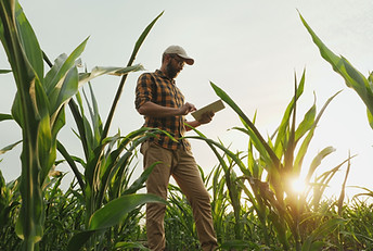 Agronomist Farmer
