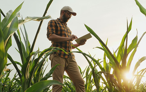 Agrônomo Agrônomo - Fritz Corretora de Seguros em Santo Ângelo