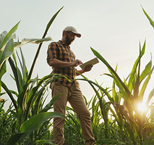 Farmer Using Tablet