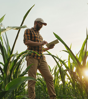 Agronomo Farmer