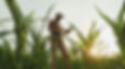 Agronomist Farmer