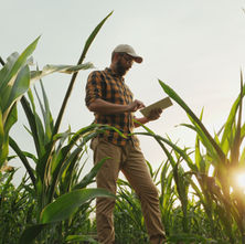 Agricultor agrónomo