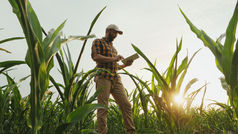 Data driven farming - innovation against poverty