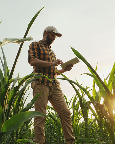 Agronome Agriculteur