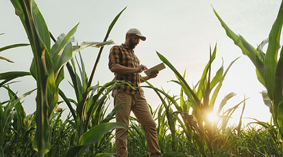 Agricultor agrónomo