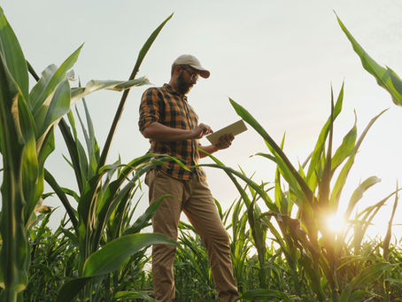 Repere componente în implementarea sistemelor sustenabile în agricultură
