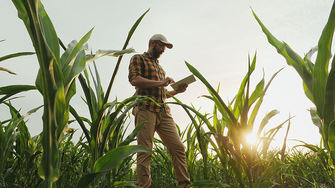 Agronomist Farmer