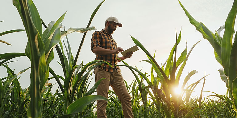 Webinar to Explore Real Costs and Benefits of Farm Digitalisation in Europe